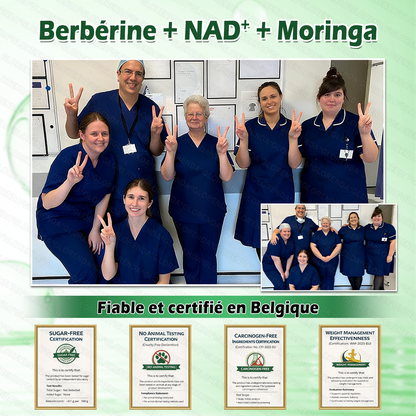 Boutique officielle 🧁 ❇ 𝐆𝐋𝐎𝐑𝐄𝐍𝐃𝐀® Moringa · Berbérine + NAD+ – Patch Microneedle Nano Avancé 10-en-1 (1×/jour, résultats visibles en 7 jours) | Obésité, relâchement cutané, apnée du sommeil, articulations, etc.