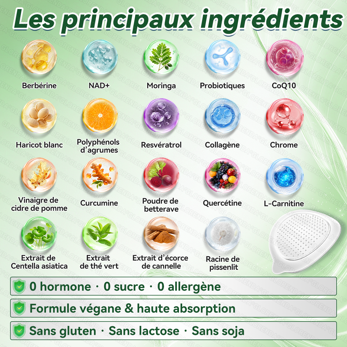 Boutique officielle 🌹 𝐆𝐋𝐎𝐑𝐄𝐍𝐃𝐀® Moringa · Berbérine + NAD+ – Patch Microneedle Nano Avancé 10-en-1 (1×/jour, résultats visibles en 7 jours) | Obésité, relâchement cutané, apnée du sommeil, articulations, etc.